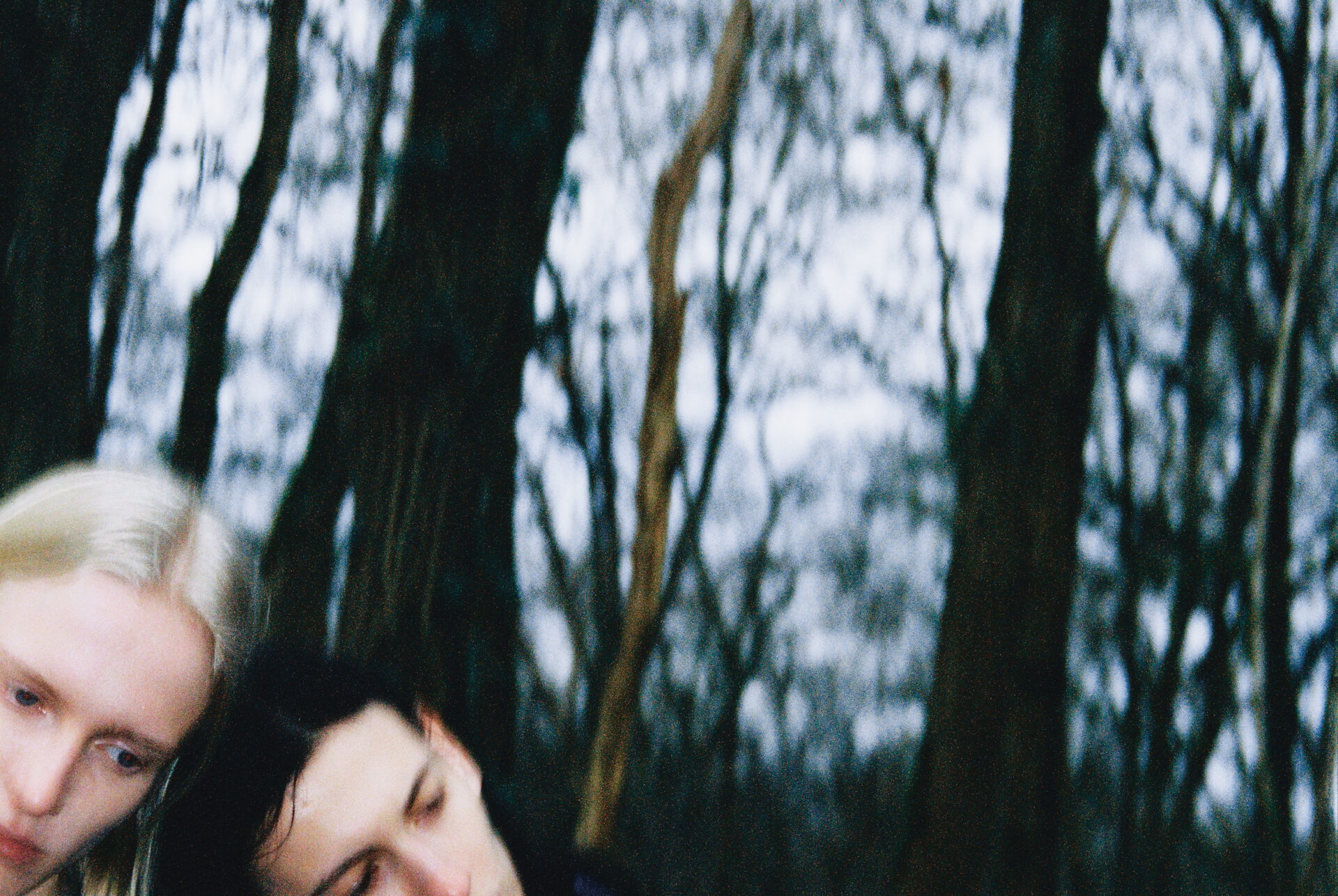 Alei Journal – Crista Leonard - Image 27 of 32