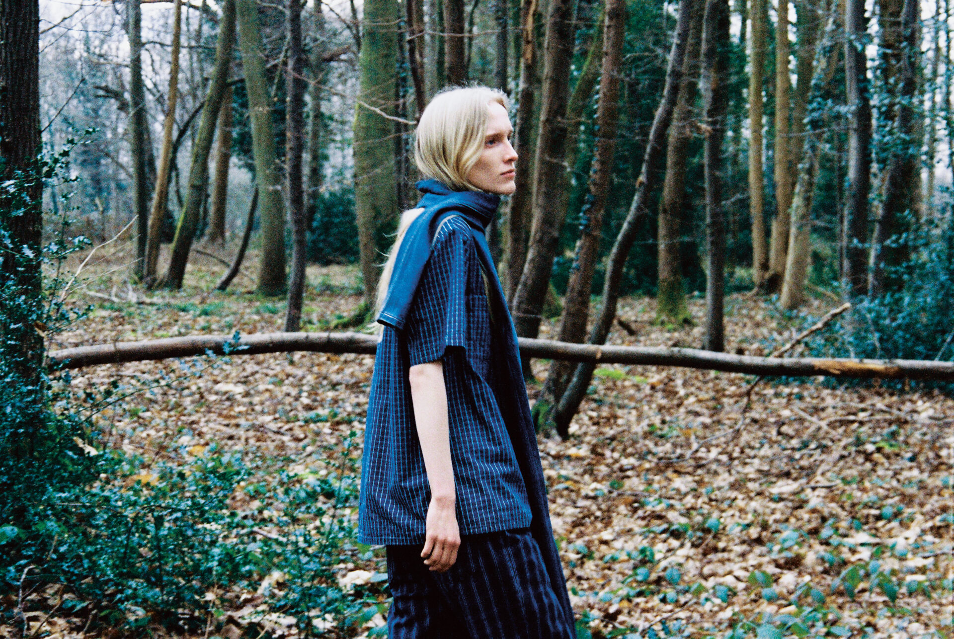 Alei Journal – Crista Leonard - Image 24 of 32