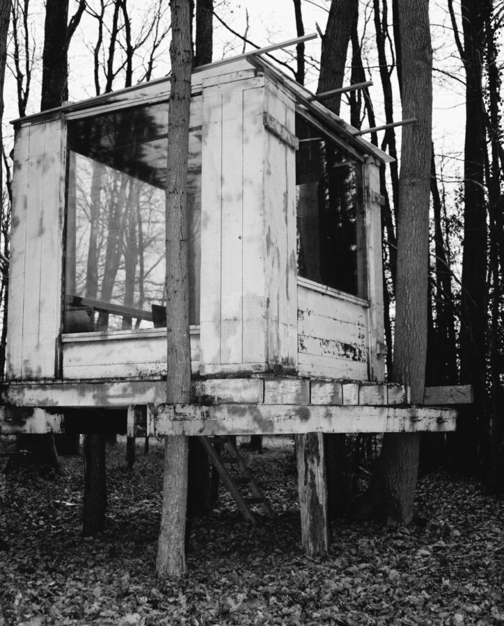 Alei Journal – Crista Leonard