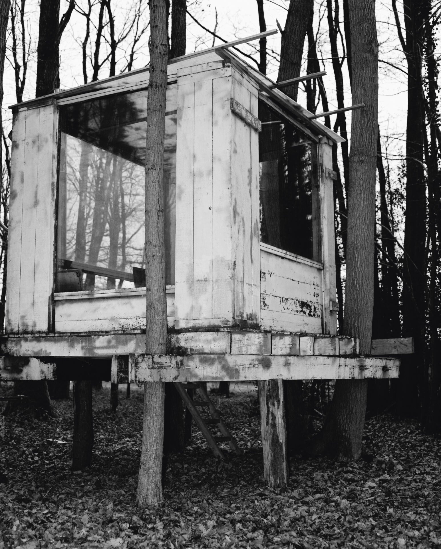 Alei Journal – Crista Leonard - Image 1 of 32