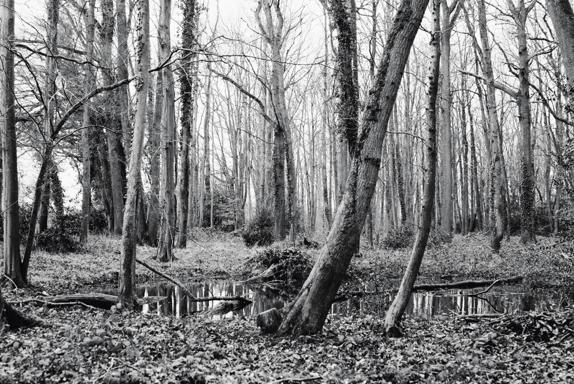 Alei Journal – Crista Leonard - Image 16 of 32