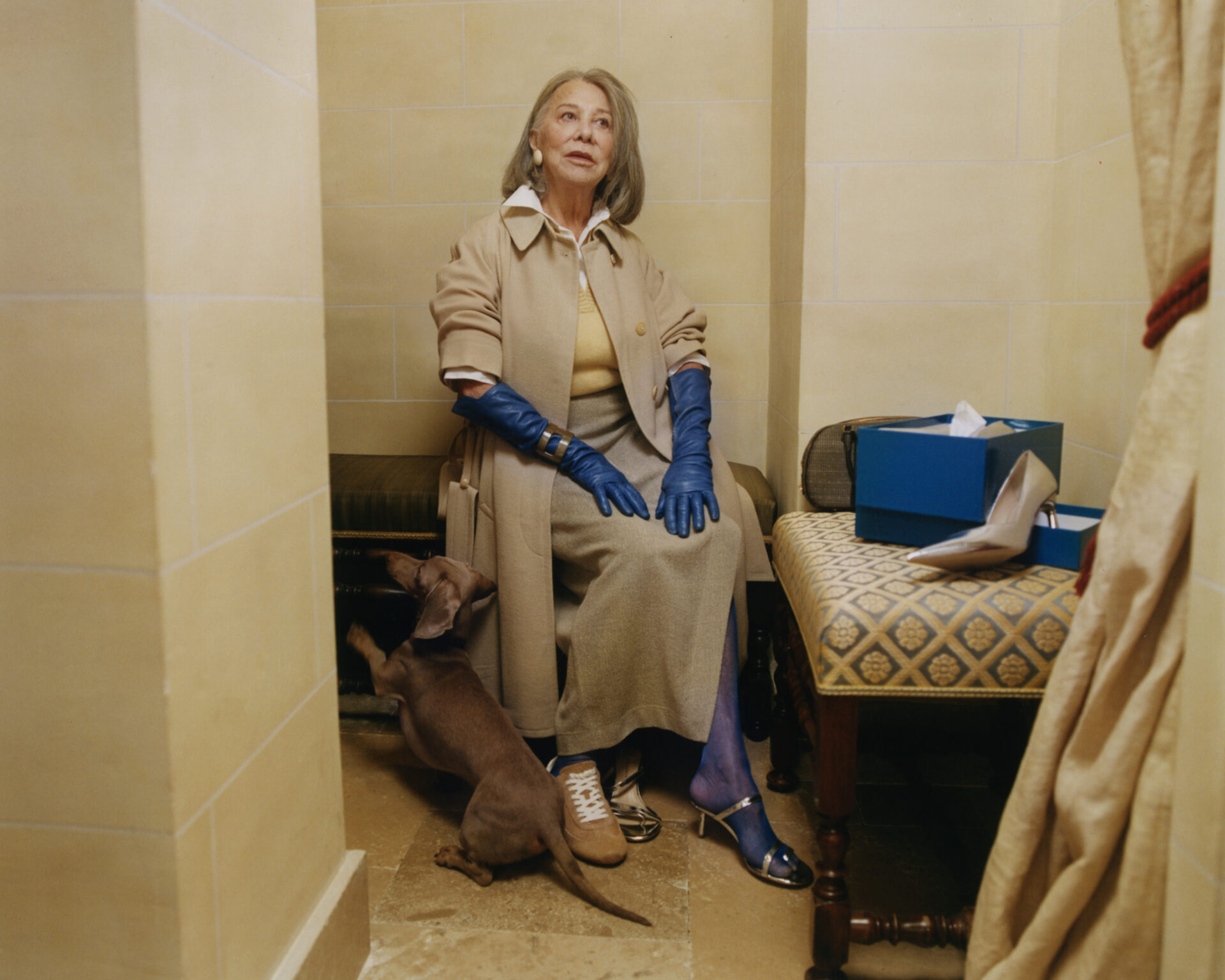 Paule Andrew - Image 7 of 8