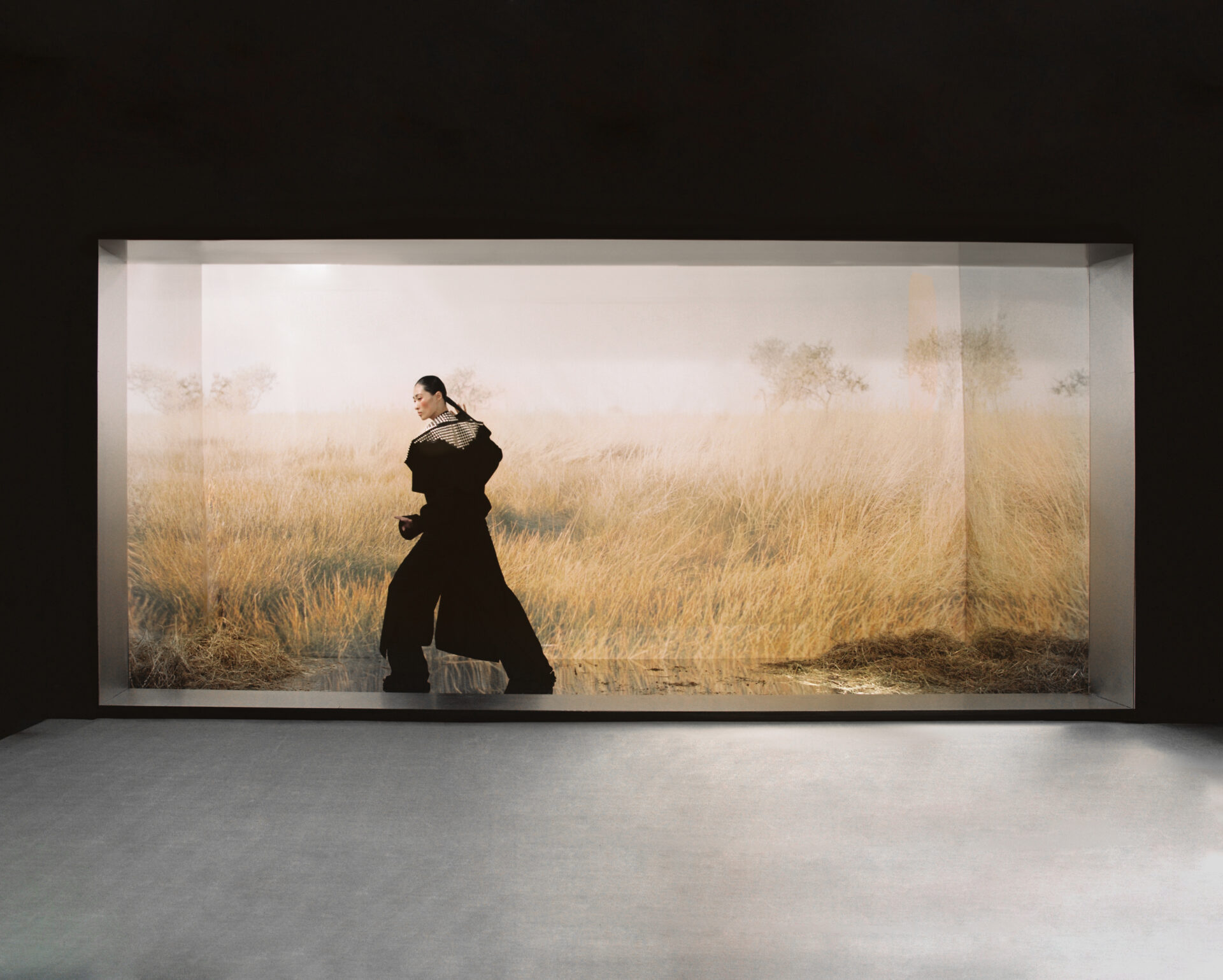 HTSI - Image 9 of 12